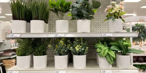 Target Artificial Plants ONLY $4 | Eucalyptus, Lavender, & More!