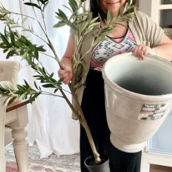 Use This Hack to Style Indoor Trees to Look Taller and Realistic!