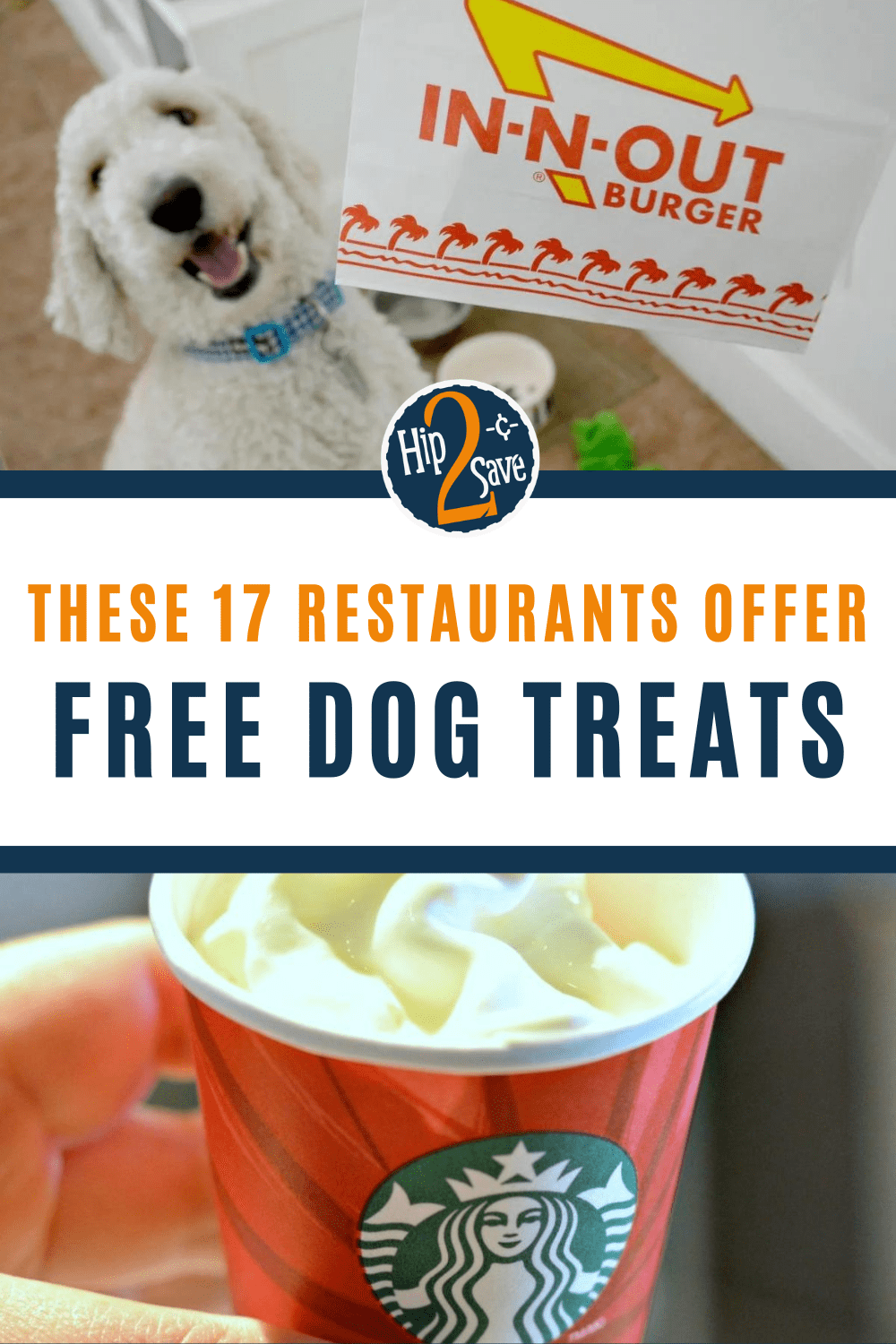 This NYC Ice Cream Shop Serves Special Pup Cups For Dogs - Secret NYC