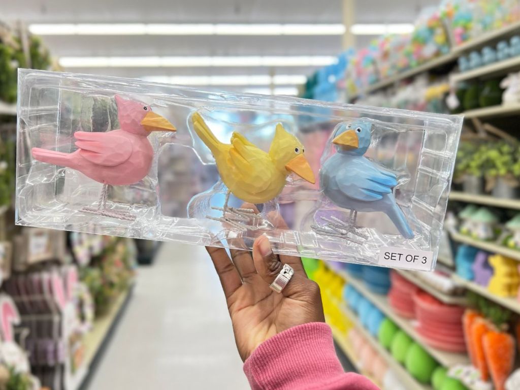 hand holding box with 3 colorful Spring Birds