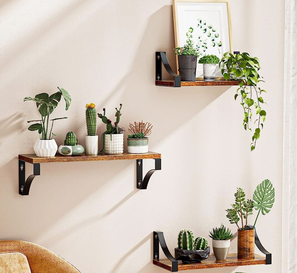 plants and decor on three wood floating shelves