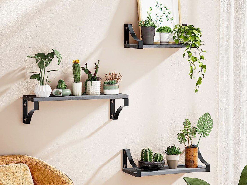 plants and decor on three grey floating shelves