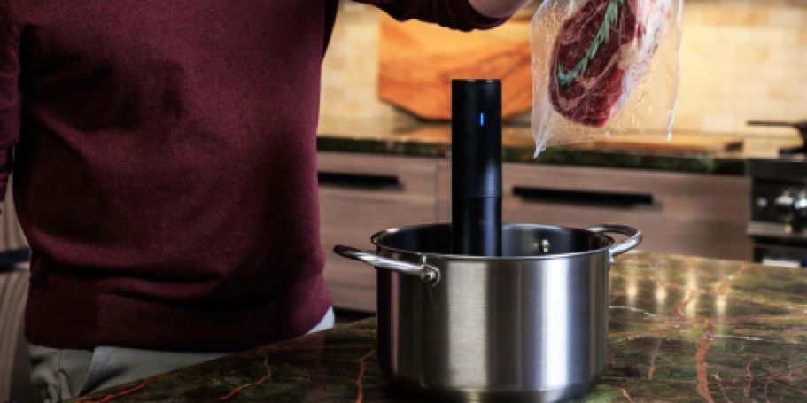 Anova Sous Vide Precision Cooker Only $38 Shipped on Walmart.com (Reg. $95)