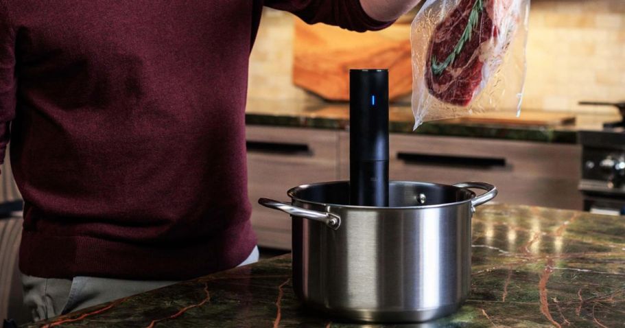 Anova Sous Vide Precision Cooker Only $38 Shipped on Walmart.com (Reg. $95)