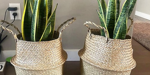 Up to 65% Off Wayfair Baskets + Free Shipping | Seagrass Basket Set Only $25.99 Shipped