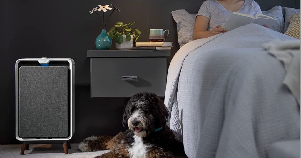 square white air purifier next to nightstand in bedroom with dog laying nearby