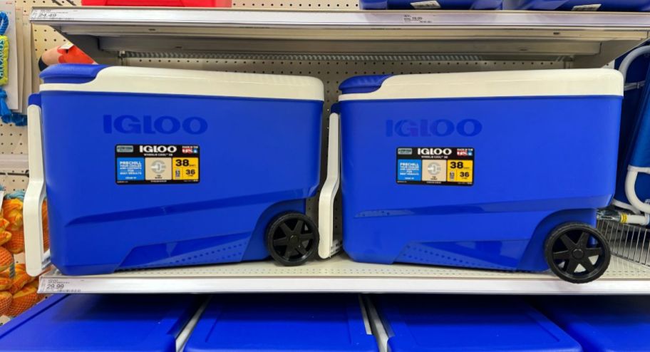 two blue 38 qt wheeled igloo coolers on a store shelf