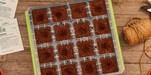 Burpee SuperSeed Seed Starting Tray Only $11.44 on Amazon or Walmart.com