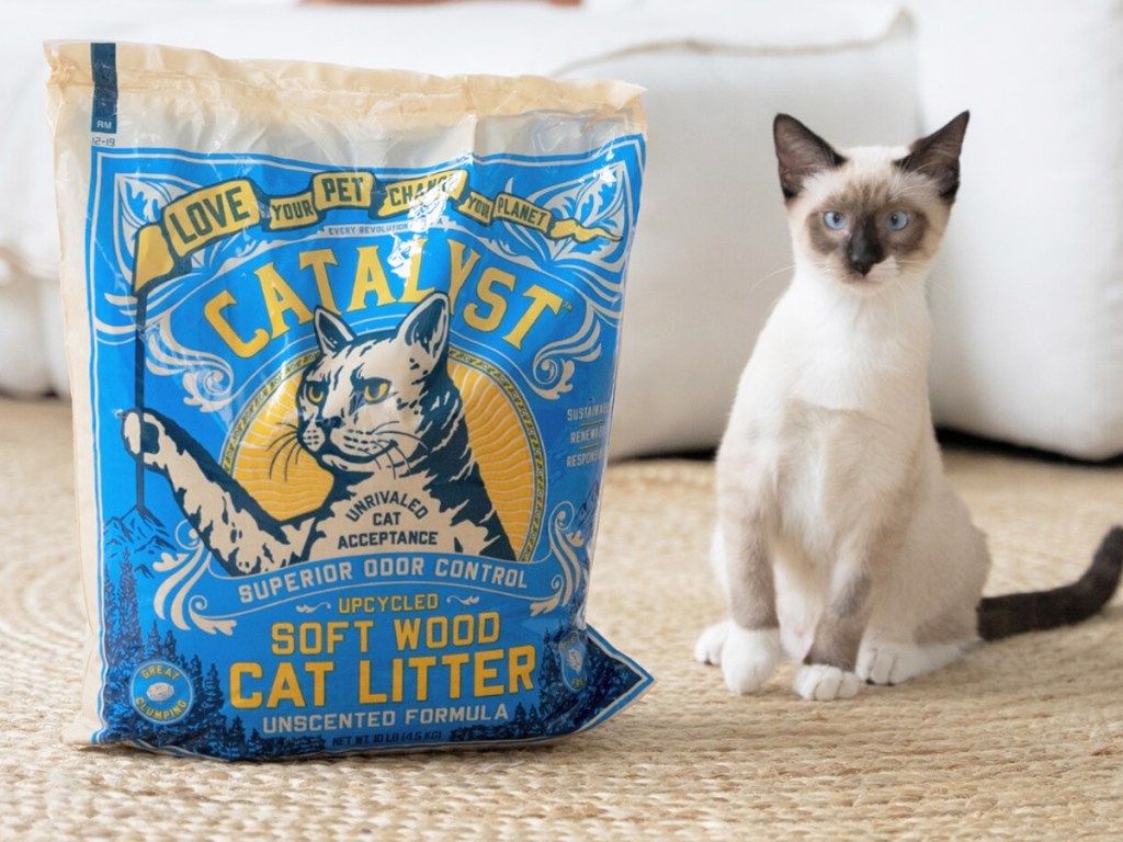 cat next to blue bag of catalyst cat litter