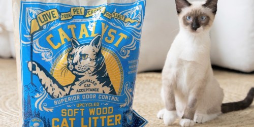 Catalyst Upcycled Cat Litter 10lb Bag Only $4.54 on PetSmart.com (Reg. $15) | Sustainable & Biodegradable