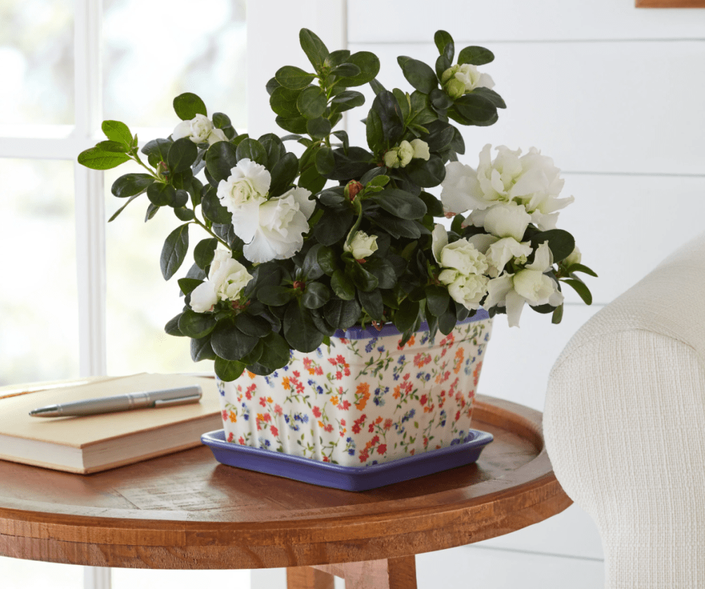 A beautiful floral ceramic planter with flowers on it displayed in a living room.