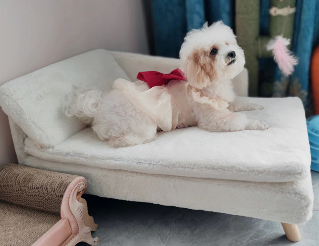 A white dog sitting on a chaise lounge sofa made for cats and dogs
