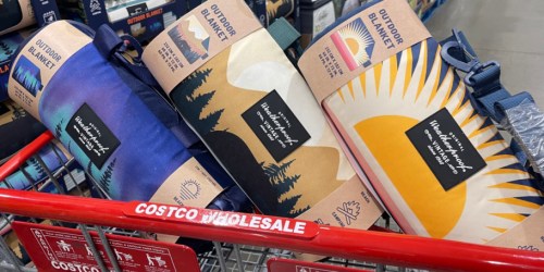 Costco Outdoor Picnic Blanket w/ Removable Strap Only $18.99 | 4 Design Choices!