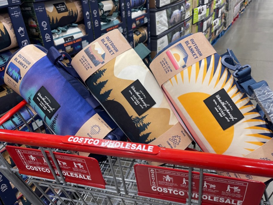 Three picnic blankets in Costco shopping carts