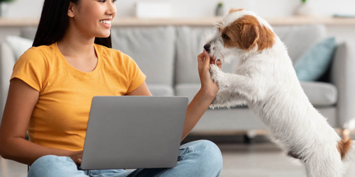 FREE Dog Academy Online Training Membership | 24/7 Unlimited Live Video Sessions