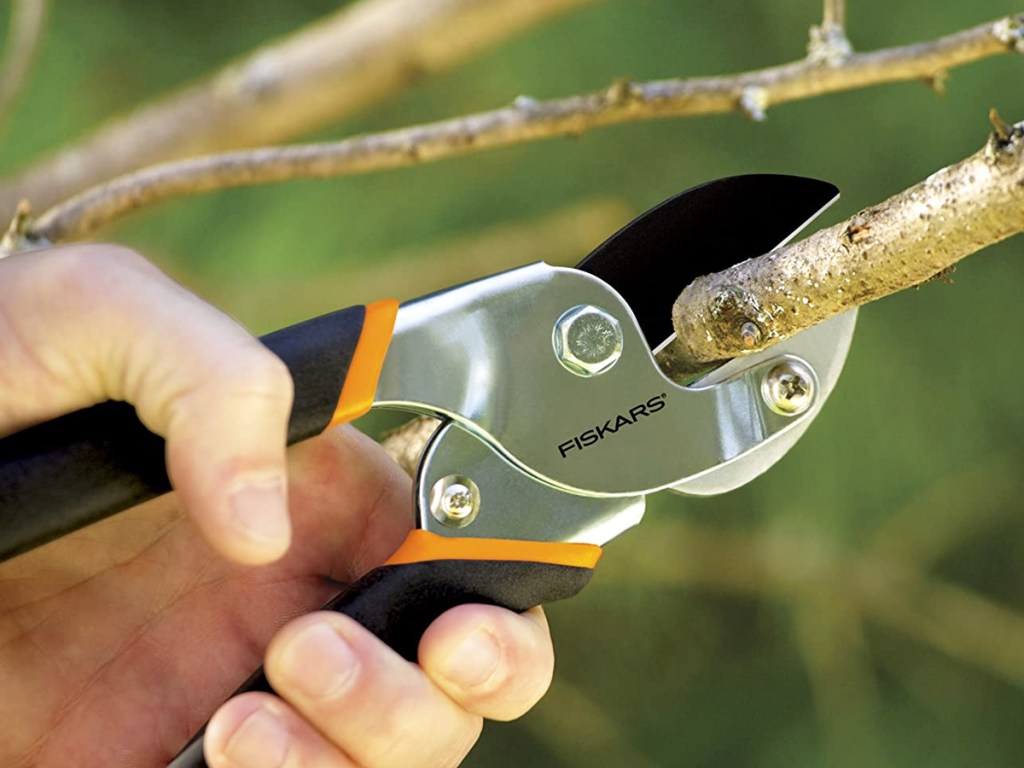 hand cutting a branch with pair of handheld pruners