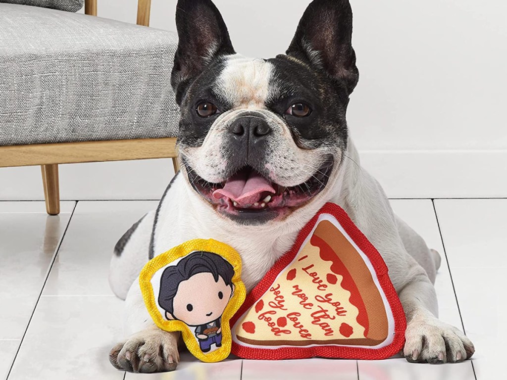 Friends Joey & Pizza 2 Piece Dog Toy with dog