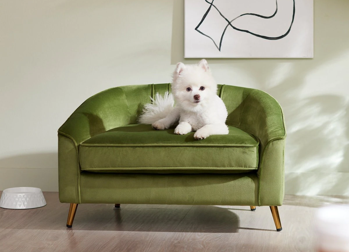 The Best Dog Couch of 2023 (Our Picks Start As Low As $55)