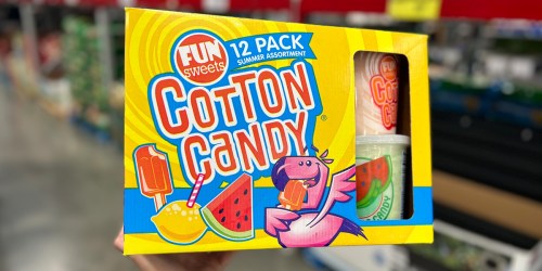 Fun Sweets Summer Cotton Candy 12-Pack Only $9.98 at Sam’s Club