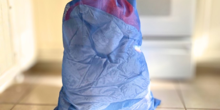 Honey-Can-Do Large Mesh Laundry Bag Just $2.71 on Amazon