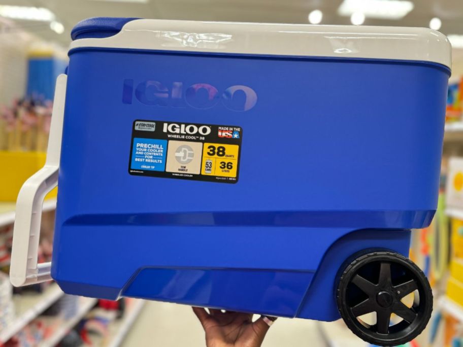 a womans hand holding up a 38 qt wheeled igloo cooler in a store