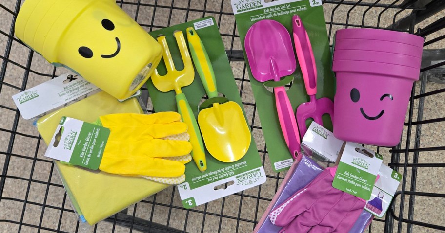kids garden items in basket at Dollar Tree