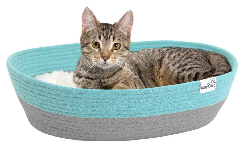 Kitty City Multi-Colored Woven Cat Bed