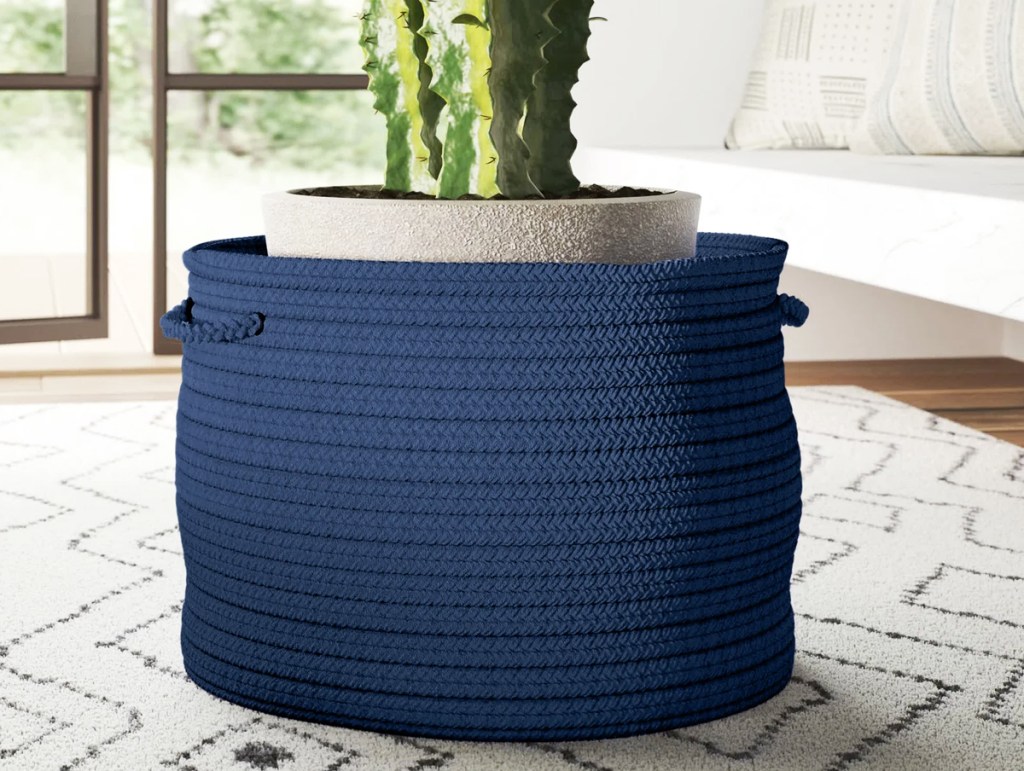 plant pot inside a large blue basket