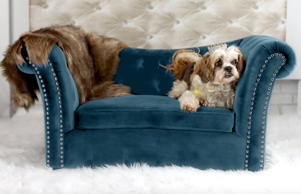 The Nathalie Dog Couch bed from Wayfair.