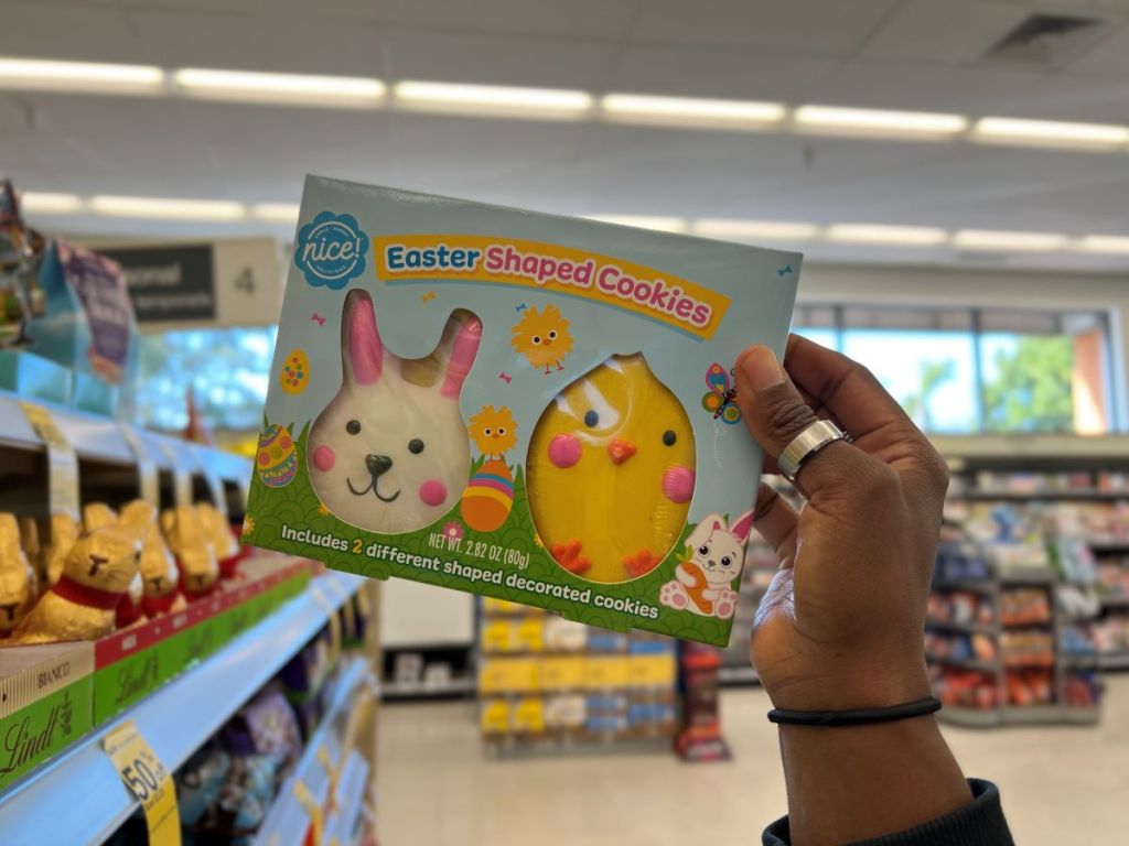 Hand holding a package with a decorated bunny cookie and a chick cookie