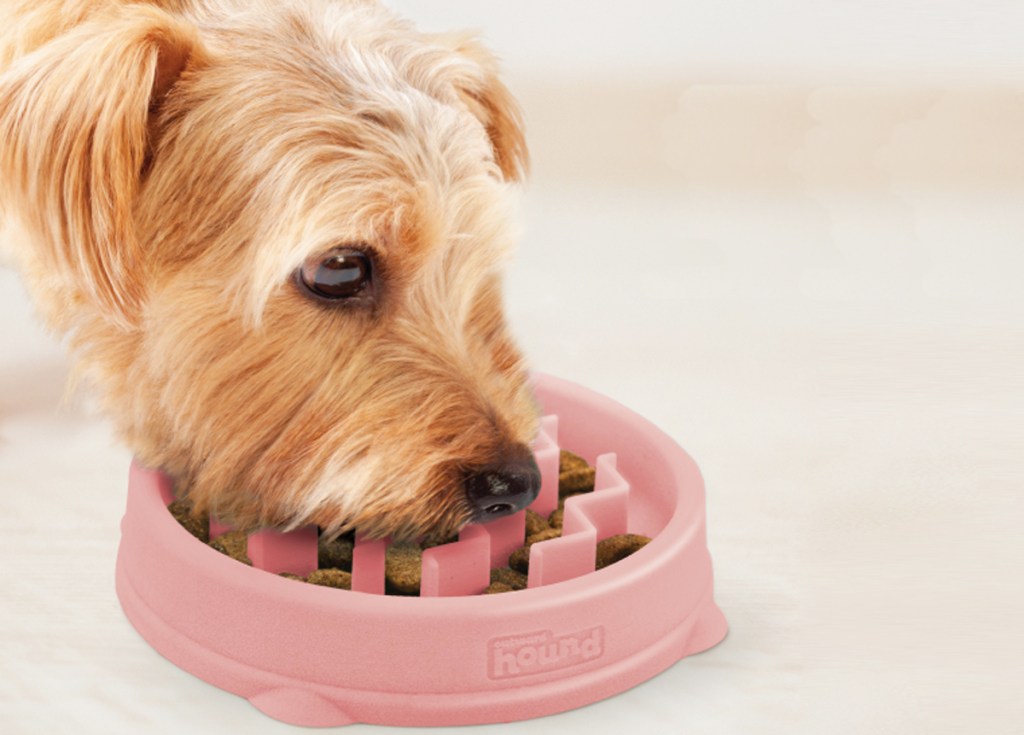 dog eating out of a pink slow feeder bowl