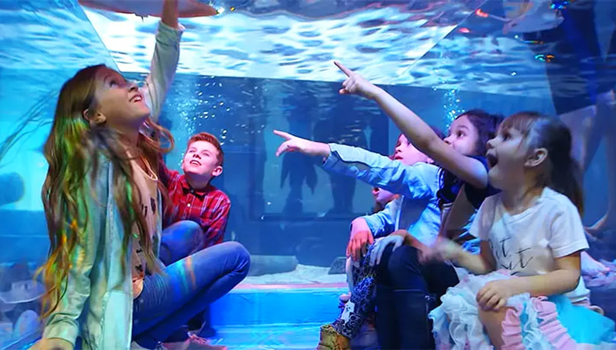 group of children at aquarium