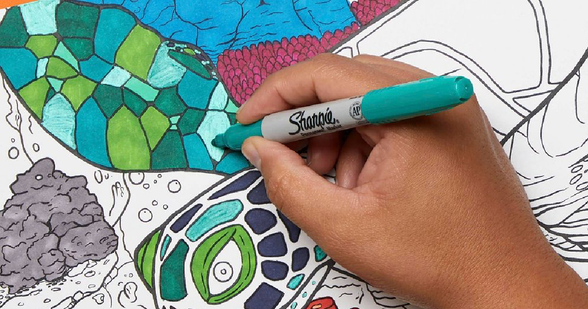 Sharpie aqua Permanent Marker being used to color turtle