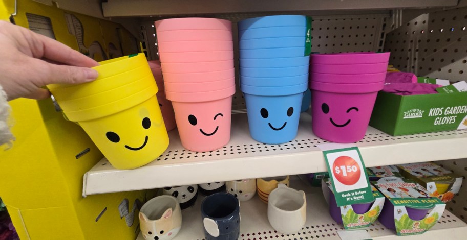Smiley Face pots 