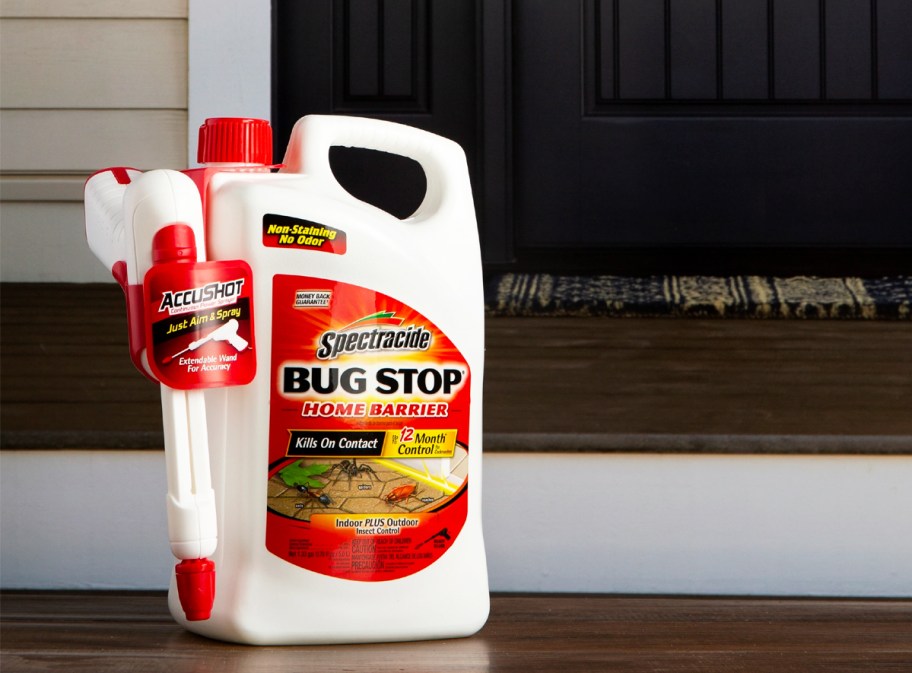 A bottle of spectral cargo bugs on the stairs in front of the house