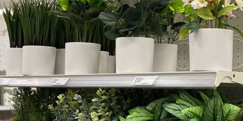 30% Off Target Artificial Plants | Threshold Potted Boxwood Only $3 + More