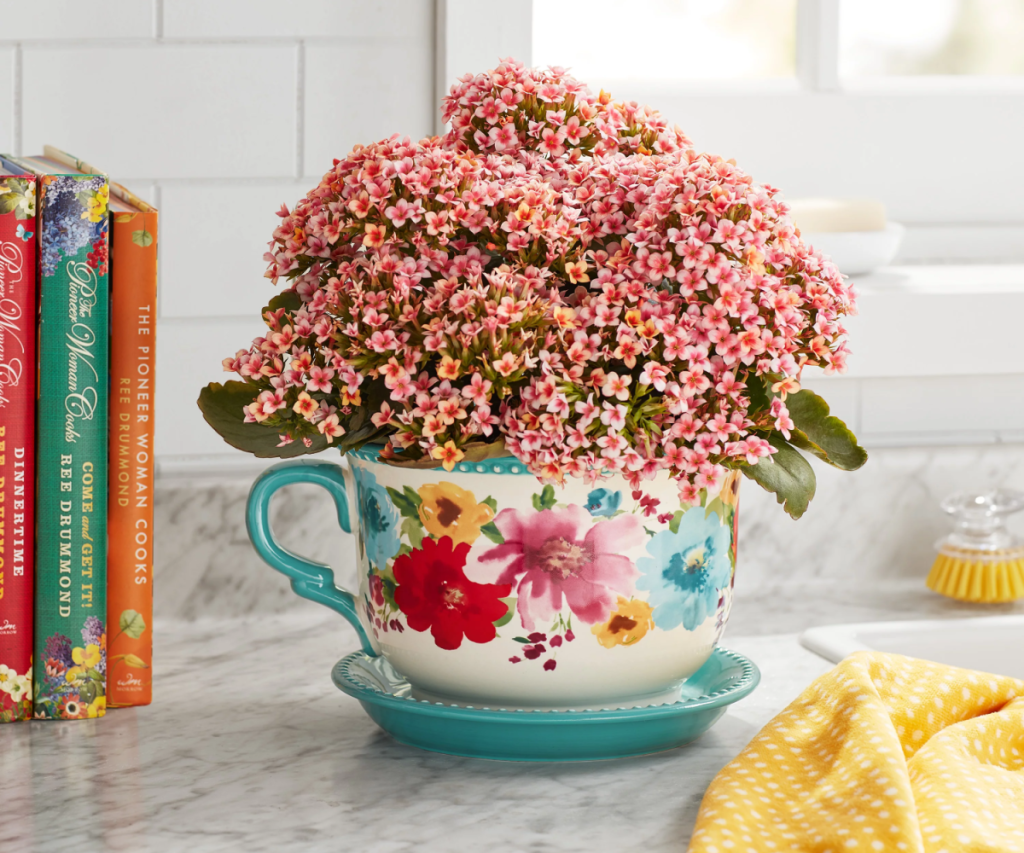 A Pioneer Woman teacup planter with flowers sitting on a kitchen counter