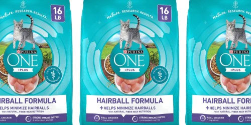 Purina ONE Natural Cat Food for Hairball Control 16lb Bag Just $17.75 Shipped on Amazon (Reg. $32)