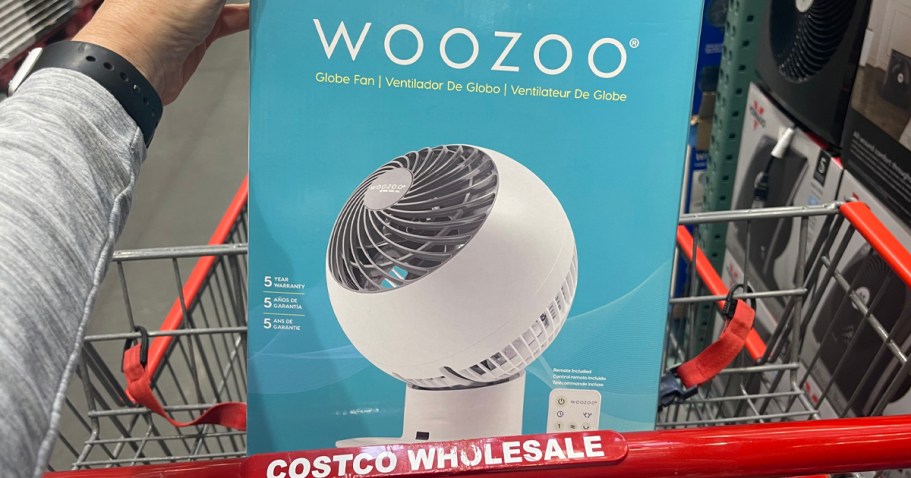 Woozoo Oscillating Fan With Remote Control Just $37.99 at Costco!