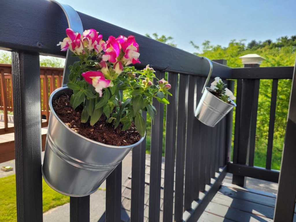 two stainless steel flower pots with pink flowers on deck railing