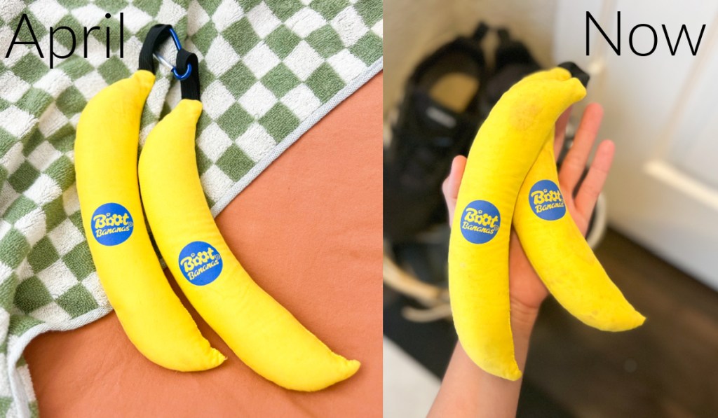 side by side comparison of boot bananas
