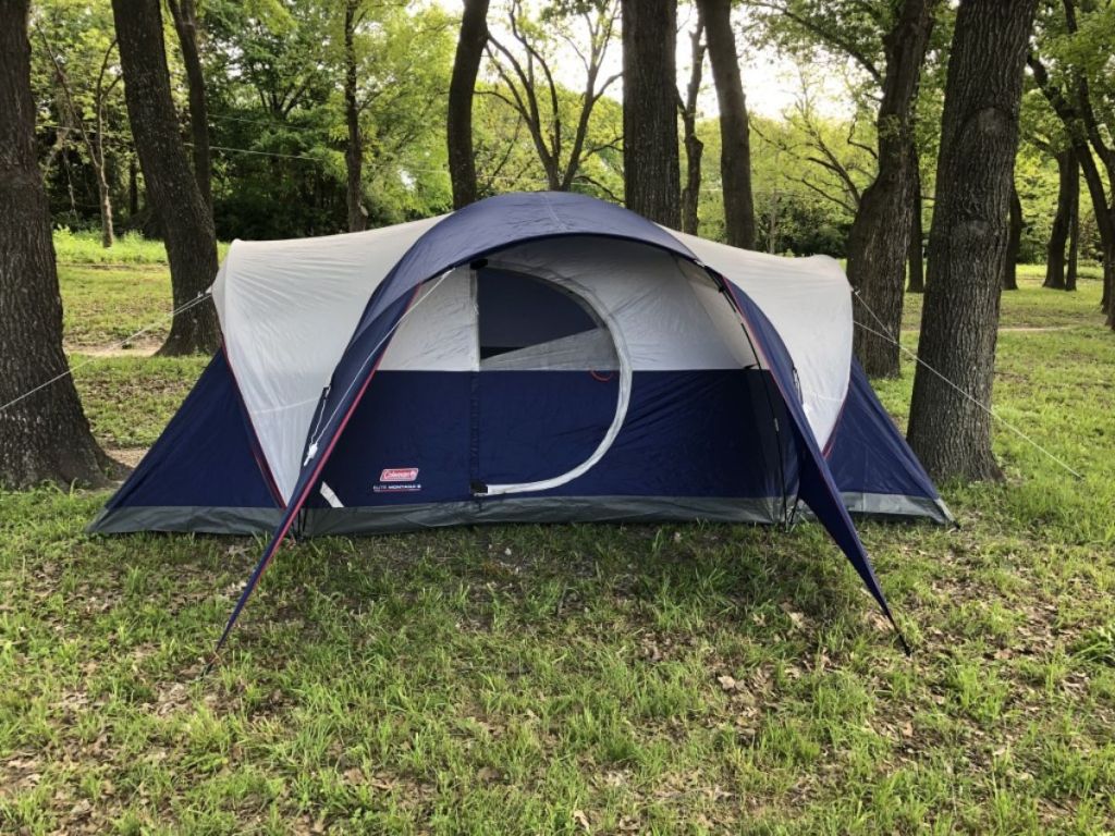 blue coleman tent in forest