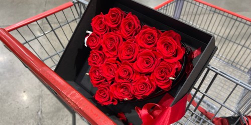 Check Out Costco’s Long-Lasting Forever Roses & 5 Affordable Alternatives!
