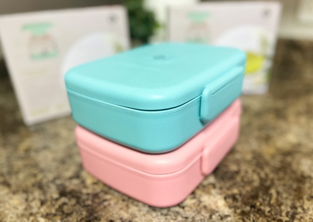 blue and pink stacked bento boxes