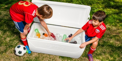 Igloo 150-Quart Cooler Only $69.98 on SamsClub.com (Reg. $90) | Perfect for Camping, Tailgating & More