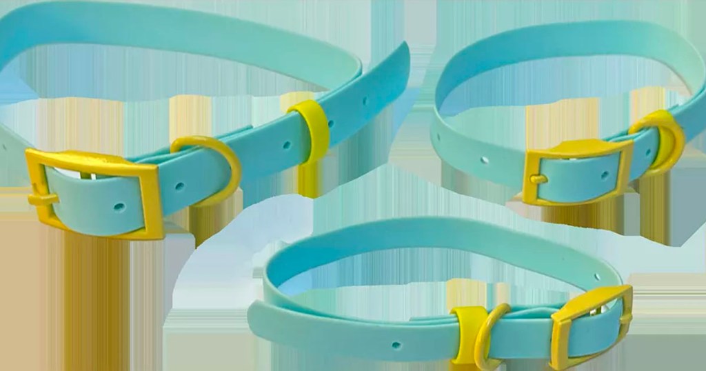 three teal and yellow dog collars in varying sizes