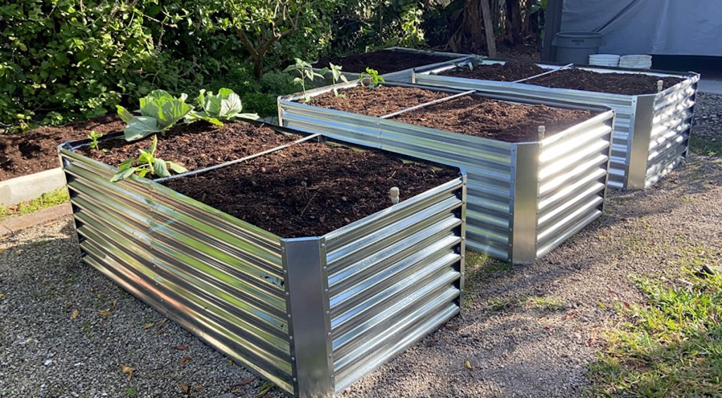 three metal raised garden beds outside