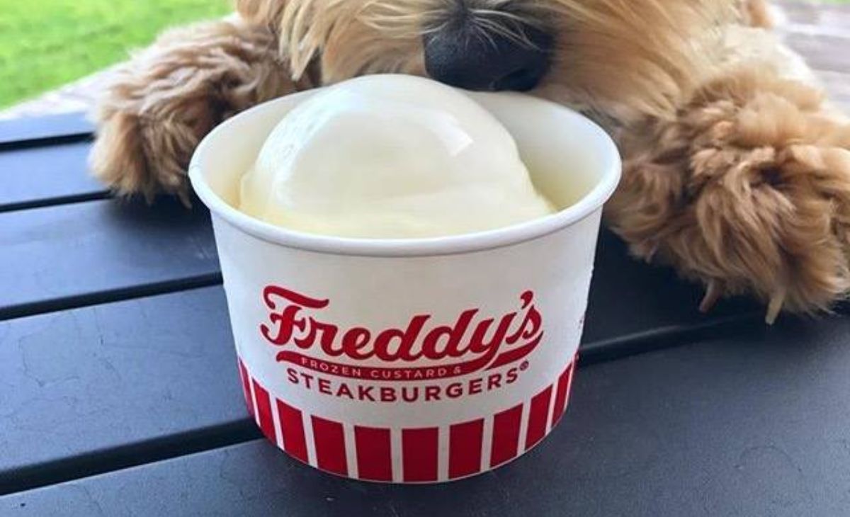 Does Andy's Have Pup Cups