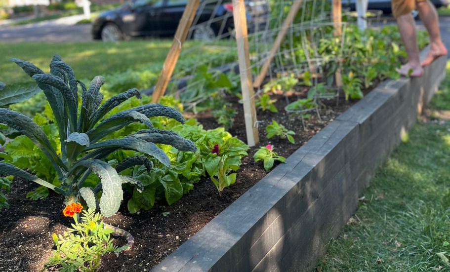 DIY Raised Garden Bed Tutorial: What We’d Do Again (& Differently!)