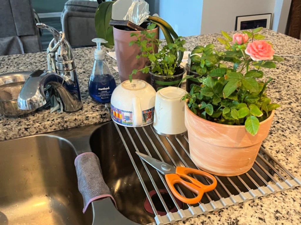 seropy drying rack with plants and dishes on top